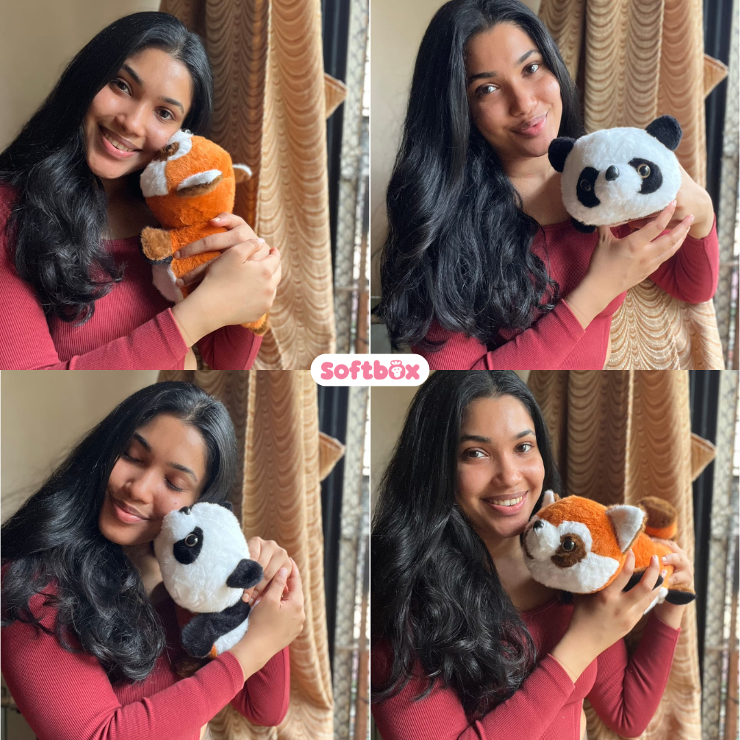 2-in-1 Reversible Plush Toys – Panda, Penguin & Dogs (All Variants)