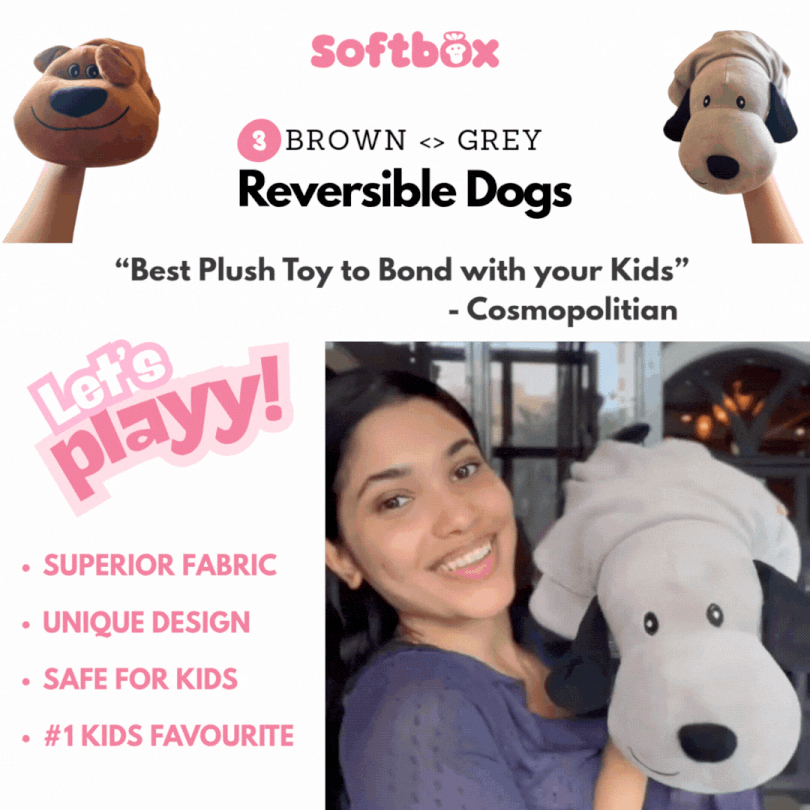 2-in-1 Reversible Plush Toys – Panda, Penguin & Dogs (All Variants)
