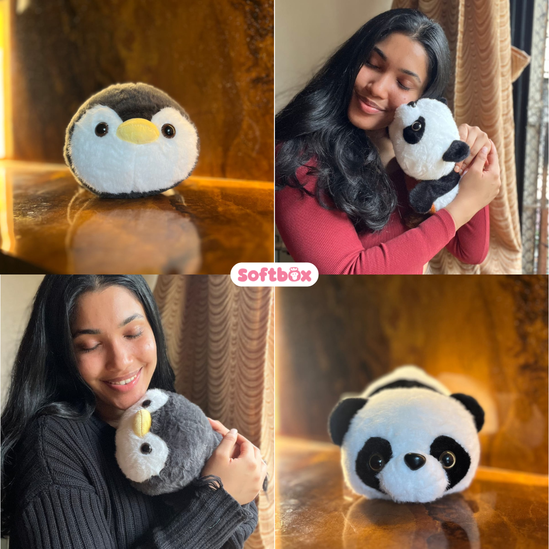 2-in-1 Reversible Plush Toys – Panda, Penguin & Dogs (All Variants)