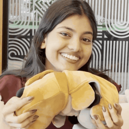 Reversible Puppy Plush
